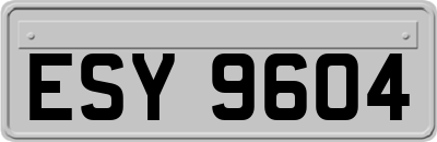 ESY9604