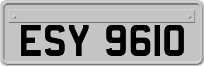 ESY9610