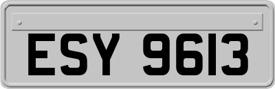 ESY9613