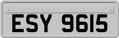 ESY9615