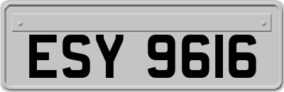 ESY9616