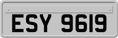 ESY9619
