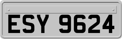 ESY9624