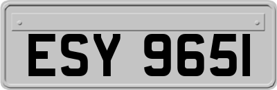 ESY9651