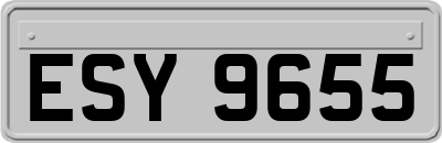ESY9655