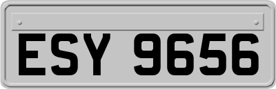 ESY9656