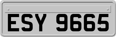 ESY9665