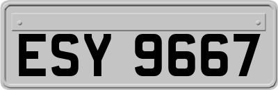 ESY9667