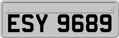 ESY9689