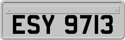 ESY9713