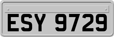ESY9729
