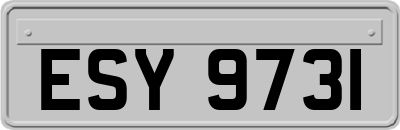 ESY9731