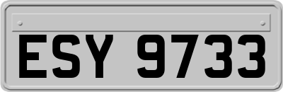 ESY9733