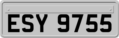 ESY9755