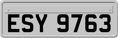 ESY9763