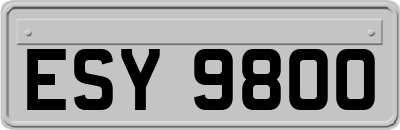 ESY9800