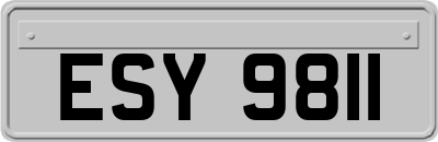 ESY9811