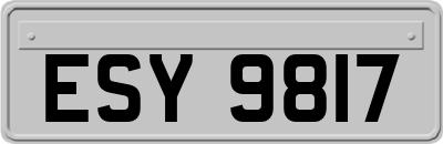ESY9817