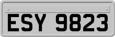 ESY9823
