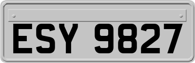 ESY9827