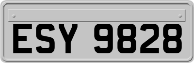ESY9828