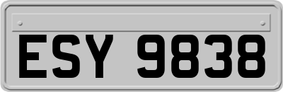 ESY9838