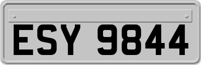 ESY9844