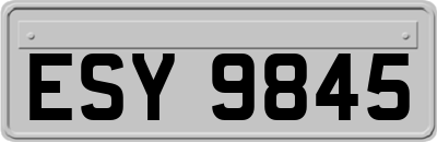 ESY9845