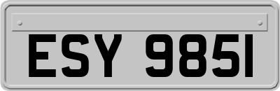 ESY9851