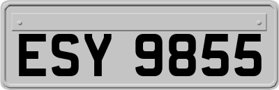 ESY9855