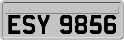 ESY9856