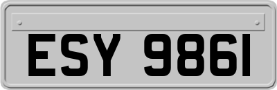 ESY9861