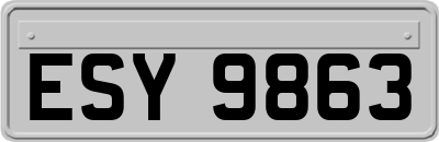 ESY9863