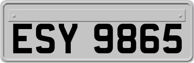ESY9865