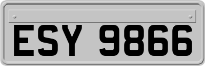 ESY9866