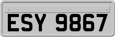 ESY9867