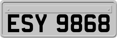 ESY9868