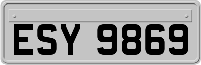 ESY9869