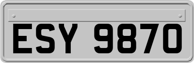 ESY9870