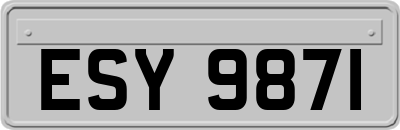 ESY9871