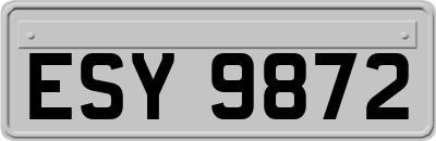 ESY9872