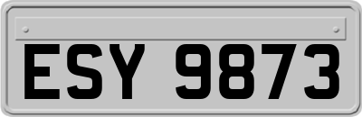 ESY9873