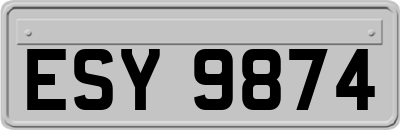 ESY9874