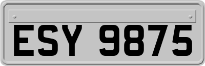ESY9875