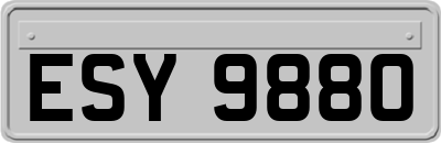 ESY9880