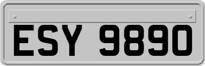ESY9890