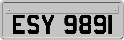 ESY9891