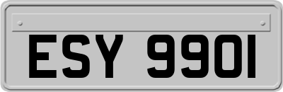 ESY9901
