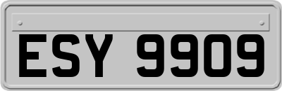 ESY9909