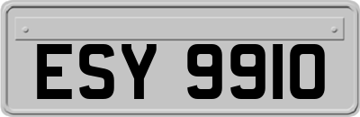 ESY9910